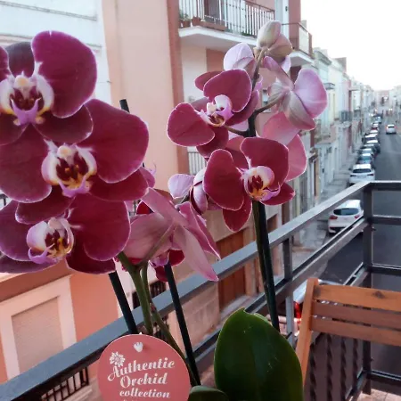 ベッド・アンド・ブレックファスト Palazzo Mosca