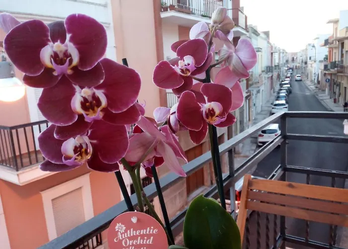 Bed & Breakfast Palazzo Mosca